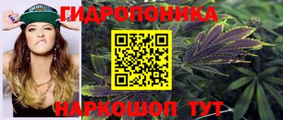 не бодяженный Бийск