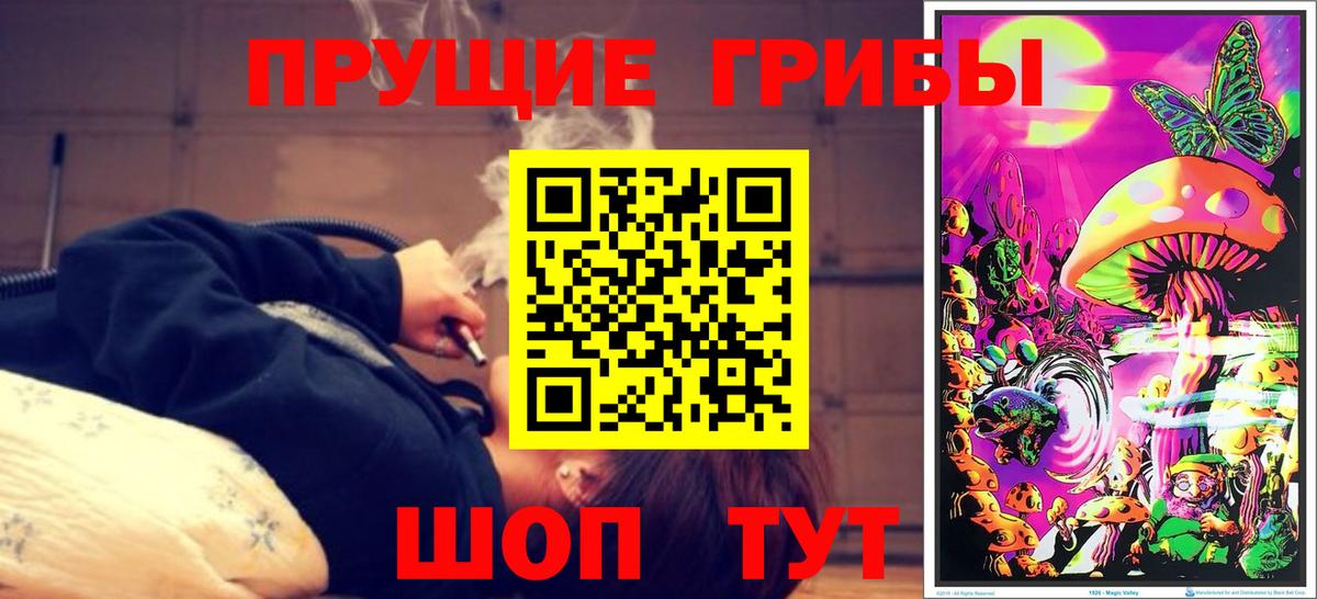 Псилоцибиновые грибы GOLDEN TEACHER  Вход с VPN  Карпинск 