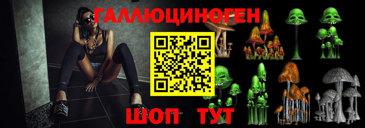 Псилоцибиновые грибы мицелий Карпинск